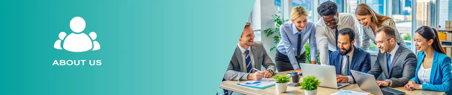 BIS Consultants in India