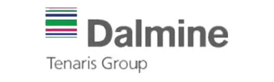 dalmine logo