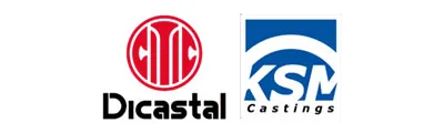 dicastal logo